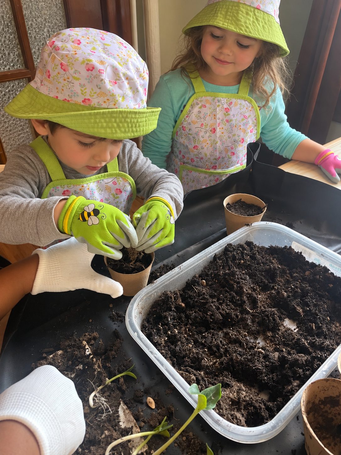 Children working with soil and seedlings in small pots