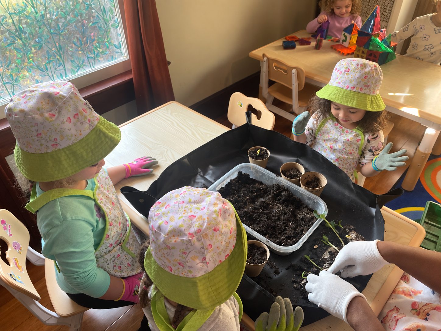 Children planting seeds together at a table