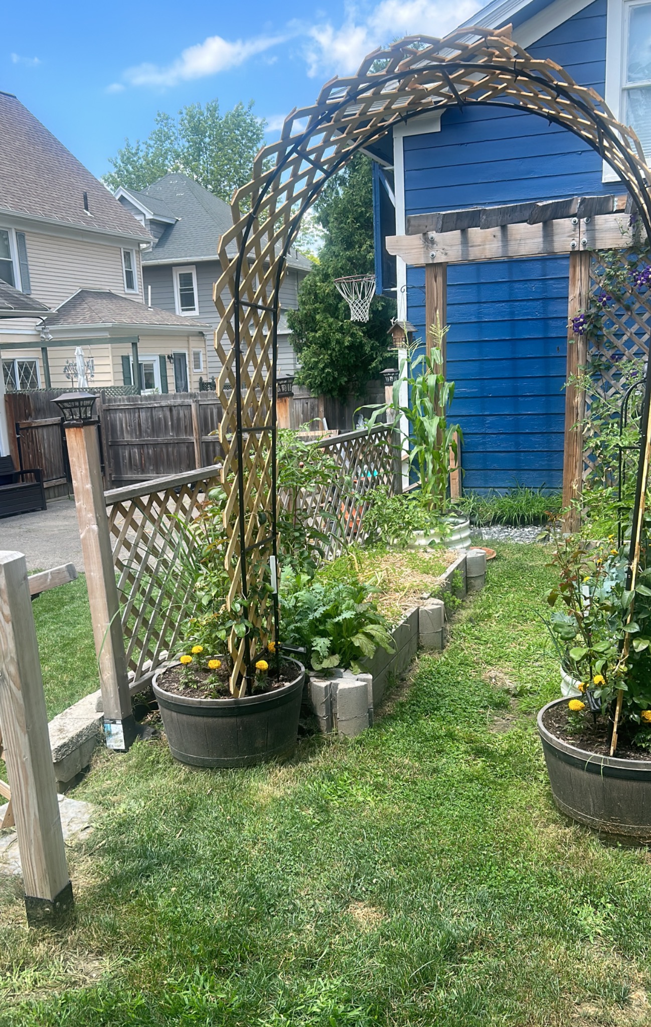 Garden entrance with an arch and growing plants