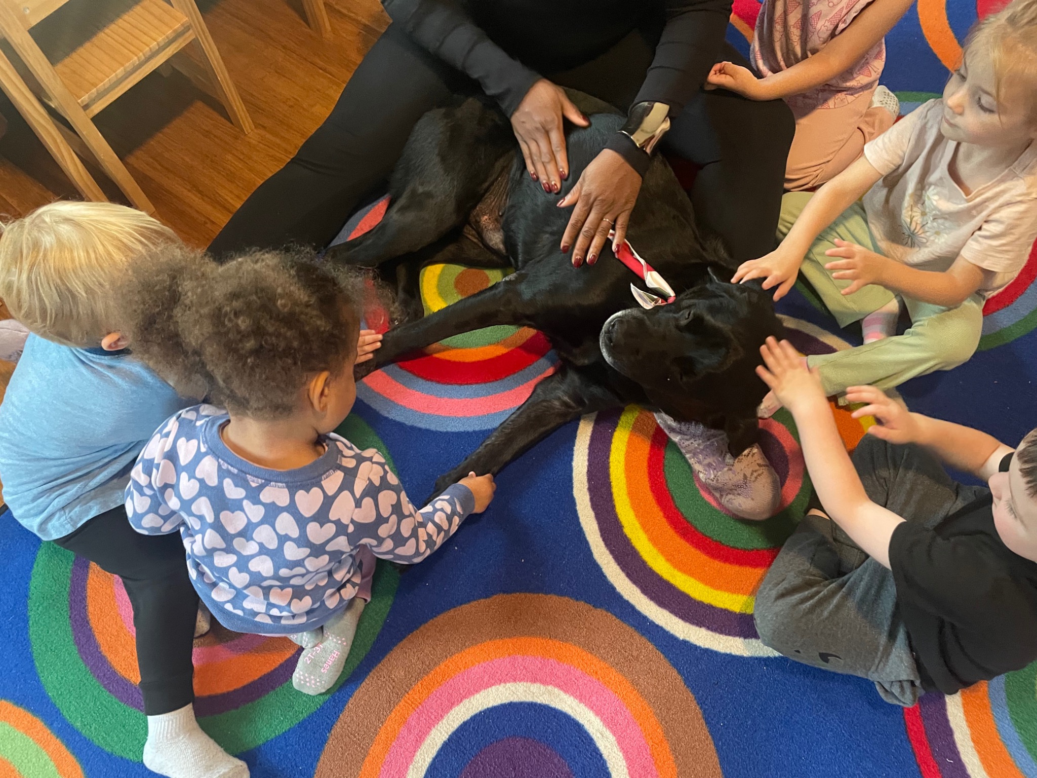Miles the dog resting while children pet him