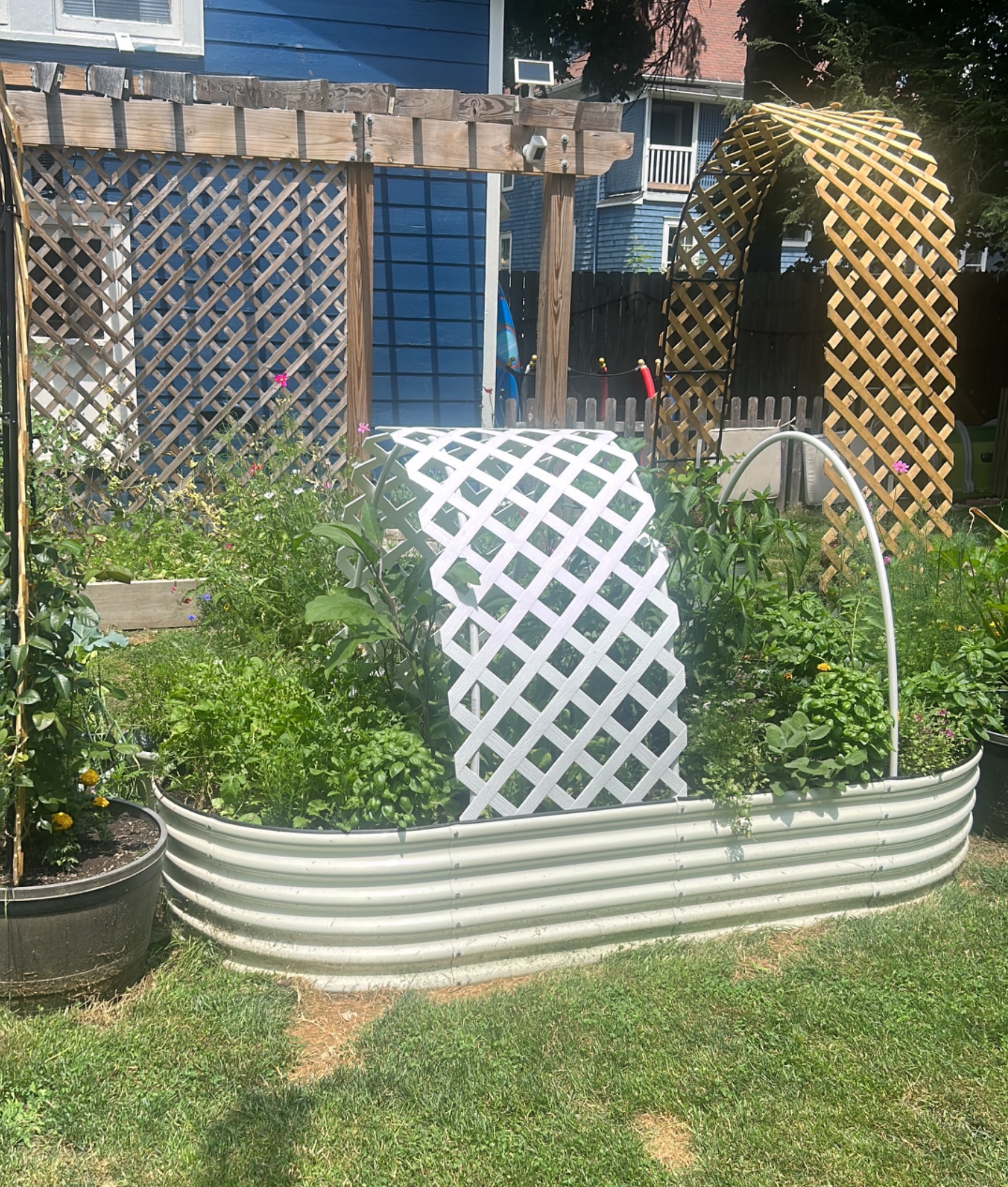 Raised garden beds with plants and trellises